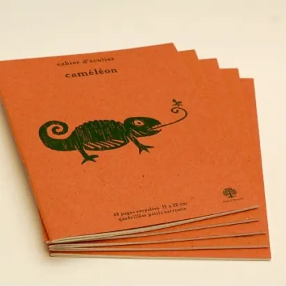 Cinq cahiers orange illustrés d'un caméléon
